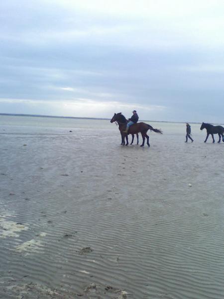 la plage du crotoy