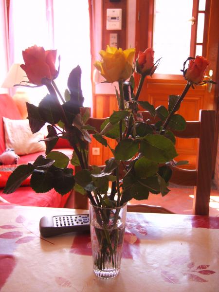 fleur offerte par mon boulot pour la féte des méres merci FAVI