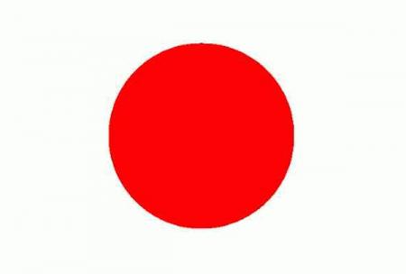 leur drapeau