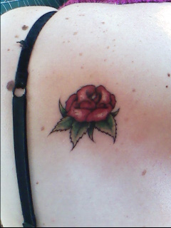 mon tatou